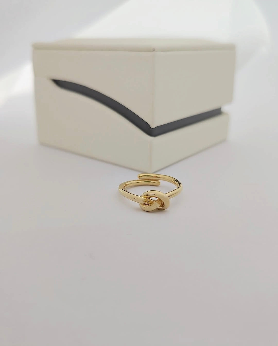 Anello Nodo (AN110)